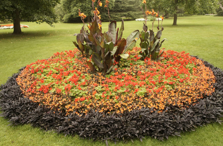 Flowers — GT